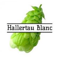 хмель Hallertau Blanc, 8.1 Германия, 50 гр