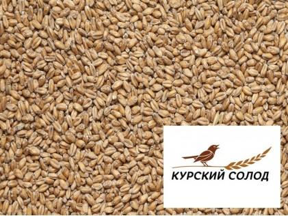 Солод Пшеничный (Курский)