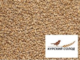 Солод Пшеничный (Курский)